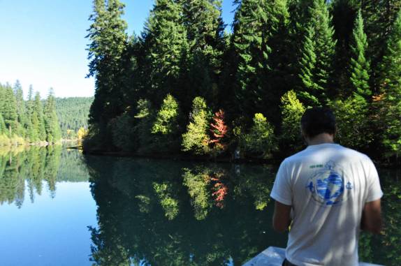 A incrível beleza da floresta refletida em uma represa na Umpqua National Forest, no sul do Oregon, estado da costa oeste dos Estados Unidos